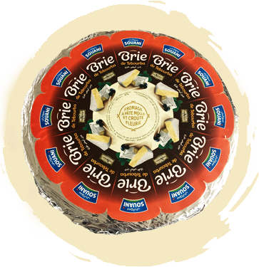 Fromage Brie de Tebourba Tunisie