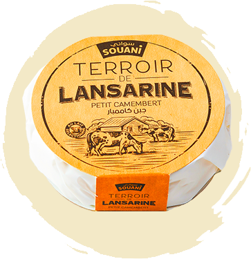 Fromage Petit Camembert TERROIR DE LANSARINE 150GR Tunisie